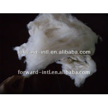 100% pure dehaired cashmere fiber